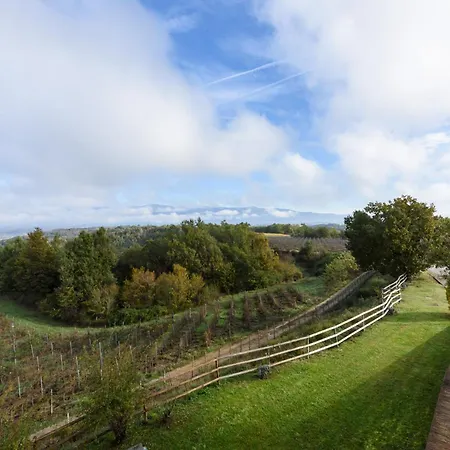 Tenuta Toscanita Cavriglia
